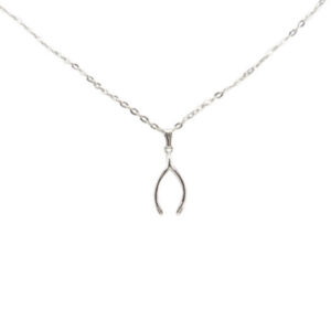 Silver Wishbone Drop Necklace