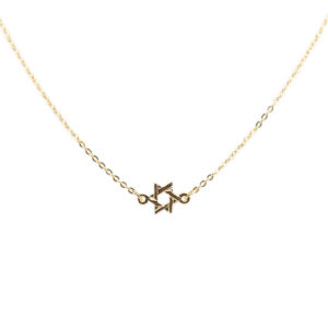 Gold Star of David Necklace