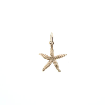 rg_starfish